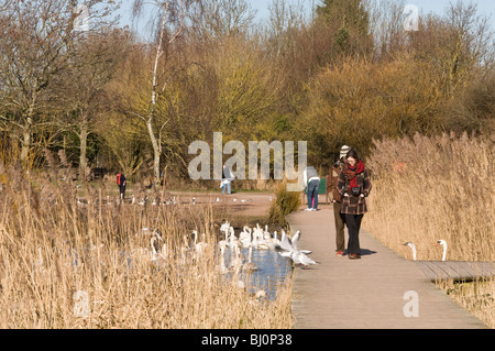 Menschen kommen um Cosmeston Seen Land Park Penarth in der Nähe von Cardiff an einem sonnigen Tag im März Stockfoto