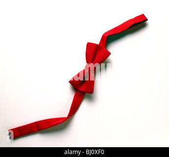 Rote Fliege auf weißem Hintergrund Stockfoto