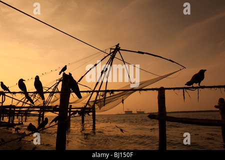 Indien, Kerala, Kochi, Fort Cochin, Vögel ruhen auf chinesischen Fischernetzen bei Sonnenuntergang Stockfoto