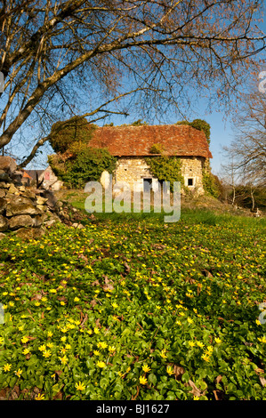 Bauernhaus aus dem 15. Jahrhundert und Teppich von kleinen Schöllkraut Wildpflanzen - Indre-et-Loire, Frankreich. Stockfoto