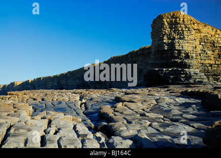 Klippen bei Nash Punkt in South Wales betrachtet von Kalkstein und Tonstein Felsstrand an einem sonnigen Tag. Stockfoto