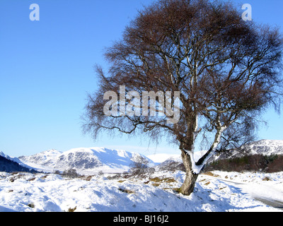 in der Nähe von Newtonmore Inverness-Shire Schottland im Winterschnee Fuß durch den Fluß Calder Stockfoto