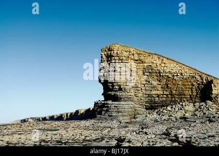 Klippen bei Nash Punkt in South Wales betrachtet von Kalkstein und Tonstein Felsstrand an einem sonnigen Tag. Stockfoto