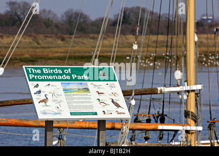 Promenade Park Maldon Ortszentrum Essex England uk gb Stockfoto