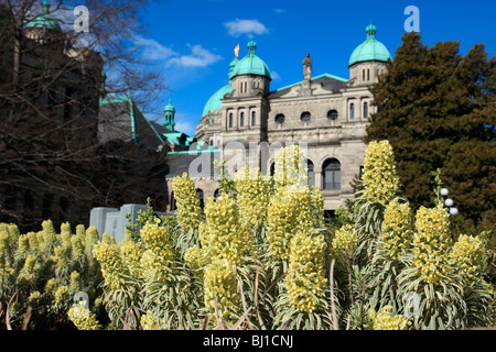 Parlamentsgebäude Stockfoto