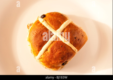 Ein Hot Cross bun Stockfoto