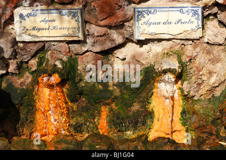 Eisenhaltige Wasser gießen aus natürlichen Quellen in das Dorf Furnas. Azoren, Portugal. Stockfoto