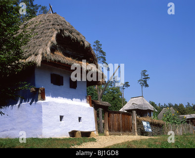 Alte Bauernhäuser, Sibiu Museum, Sibiu, Siebenbürgen, Rumänien Sibiu Grafschaft Stockfoto