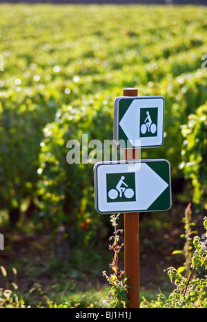 Veloroute Zeichen zwischen Meursault und Puligny-Montrachet, Burgund, Frankreich Stockfoto