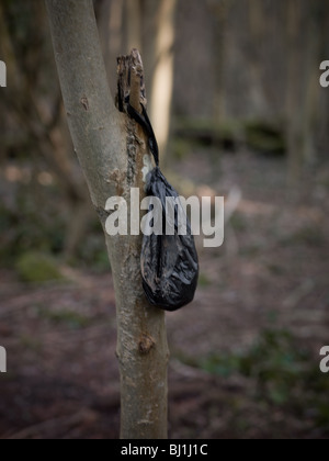 Hund-Abfallbehälter in Waldgebieten. Stockfoto