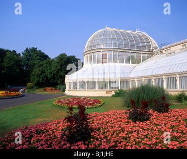 Das Palmenhaus, Belfast botanischen Gärten, Botanic Avenue, Belfast, Grafschaft Antrim, Nordirland, Vereinigtes Königreich Stockfoto