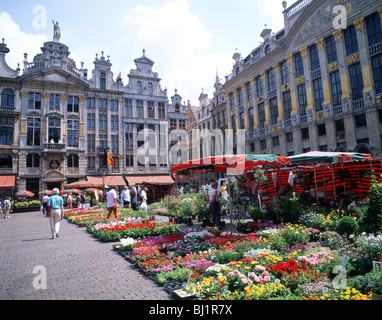 Blumenmarkt im Freien, Grand Place (Grote Markt), Bruxelles-Ville, Brüssel, Königreich Belgien Stockfoto