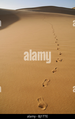 Fußabdrücke auf einer Düne in der entfernten Great Sand Sea Region der Sahara Wüste, in der Westlichen (Libyen) Wüste des Südwestens Ägypten. Stockfoto