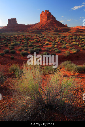 Rissige Erde und Büsche im Valley of the Gods, Utah Stockfoto