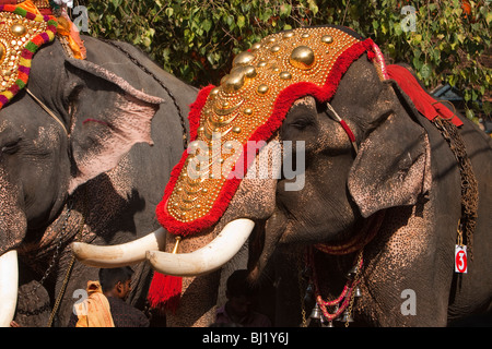 Indien, Kerala, Adoor, Sree Parthasarathy Tempel, Gajamela Festival, geschmückten Elefanten in rituelle Prozession Stockfoto