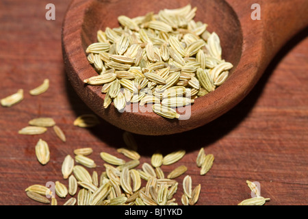 Fenchelsamen Stockfoto