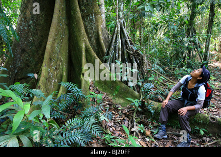 Panamaisches Mädchen und großer ceiba-Baum im Cerro Pirre im Darien-Nationalpark, Darien GAP, Provinz Darien, Republik Panama, Mittelamerika. Stockfoto