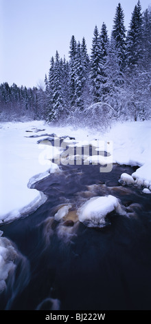 Ein kleiner Fluss im vinter Stockfoto