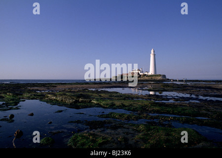 Großbritannien, England, Northumberland, St. Mary's Island, Leuchtturm Stockfoto