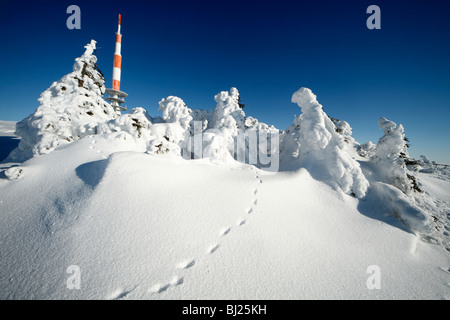 Sendemast und schneebedeckten Tannen im Winter Brocken Berg, Nationalpark Hochharz, Sachsen Anhalt, Deutschland