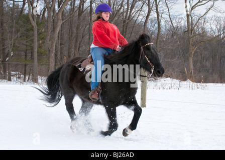 Junger Student Reiter auf Pferd im Winterschnee laufen, auf schwarzen amerikanischen Mustang in voller Wintermantel. Stockfoto