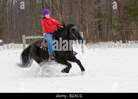 Student-Reiter auf Pferd im Winterschnee laufen, auf schwarzen amerikanischen Mustang in voller Wintermantel. Stockfoto