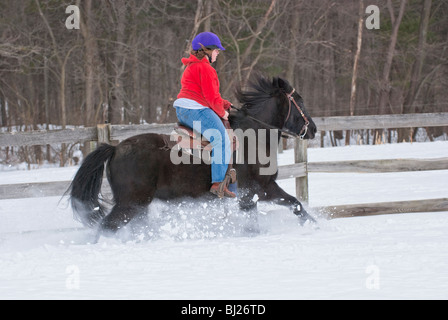 Junger Student Reiter auf Pferd im Winterschnee laufen, auf schwarzen amerikanischen Mustang in voller Wintermantel. Stockfoto