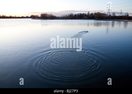 Sonnenaufgang am Walthamstow Stauseen London England. Stockfoto