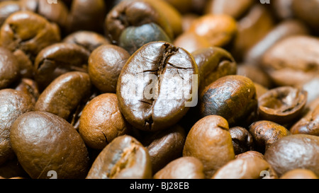 Kaffeebohnen. Im Studio gedreht. Stockfoto