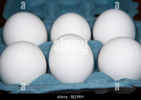 Schachtel mit einem halben Dutzend weiße frische Bioeier Stockfoto