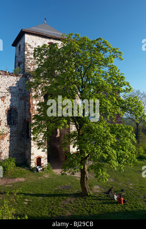 Burg Tenczyn in Rudno in der Nähe von Krzeszowice, Polen Stockfoto