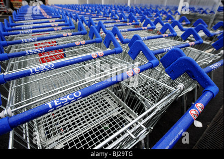 Reihe von Tesco Trollies aufgereiht vor dem Supermarkt Stockfoto