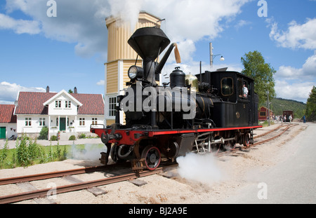 Norwegen Dampfmaschine Zug norwegischen Setesdal-Linie Stockfoto