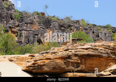 Böschung, Arnhemland Northern Territory Australien Stockfoto