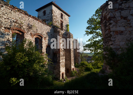 Burg Tenczyn in Rudno in der Nähe von Krzeszowice, Polen Stockfoto