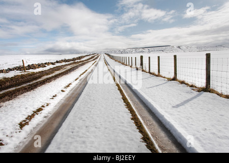 Spuren im Schnee Stockfoto