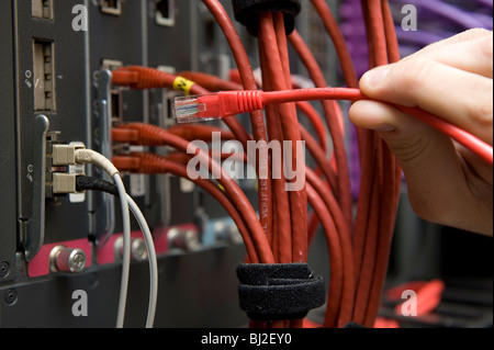 Ethernet-Kabel an einen Server angeschlossen wird. Stockfoto