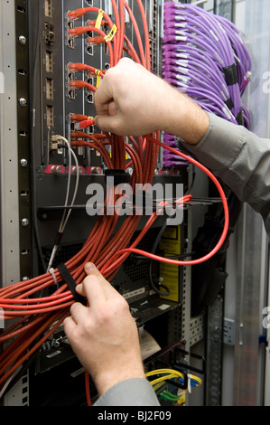 Ethernet-Kabel an einen Server angeschlossen wird. Stockfoto