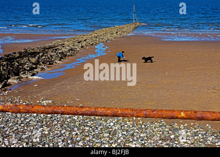 Dame spielen mit ihrem Hund an einem Strand in am Nachmittag Frühling Sonnenlicht gesehen von einer erhöhten Promenade mit rostigen Barrieren Stockfoto