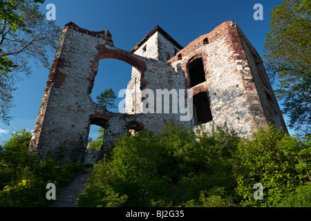 Burg Tenczyn in Rudno in der Nähe von Krzeszowice, Polen Stockfoto