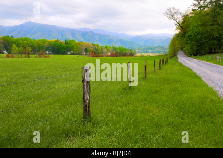 Landstraße, Cades Cove Stockfoto