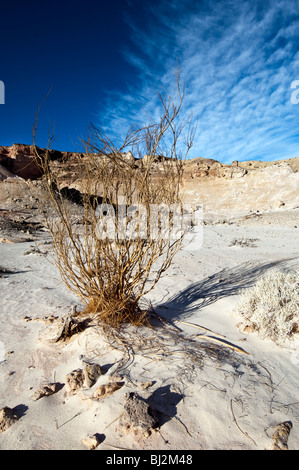 Sinai-Wüste Landschaft Stockfoto