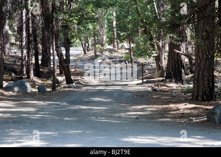 Straße gesperrt im Yosemite-Nationalpark, Kalifornien, USA Stockfoto