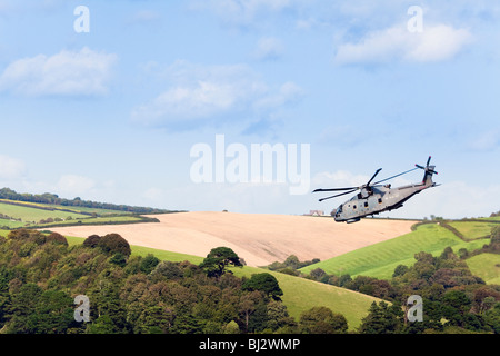 Royal Navy Merlin Hubschrauber auf Demonstrationsflug bei Dartmouth Regatta, Kingswear, South Hams, Devon, England, VEREINIGTES KÖNIGREICH Stockfoto