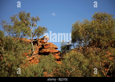 Kings Canyon, Teil des Watarrka National Park, Northern Territory, Australien Stockfoto