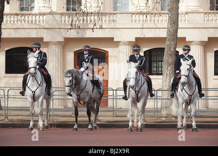 Polizei auf dem Pferderücken Stockfoto