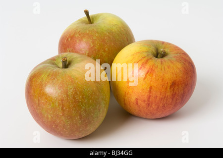 Trio von Äpfeln Stockfoto