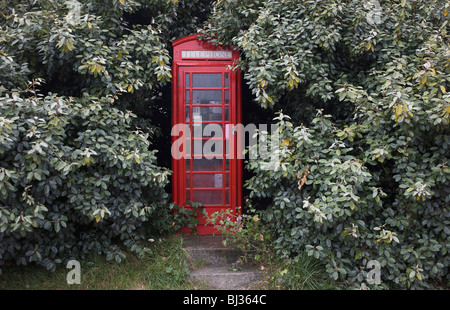 Ein Klassiker, verwenden K-Serie rot British Telecom (BT) zahlen, Telefonzelle, die noch in sitzt umgeben von Unterholz Stockfoto