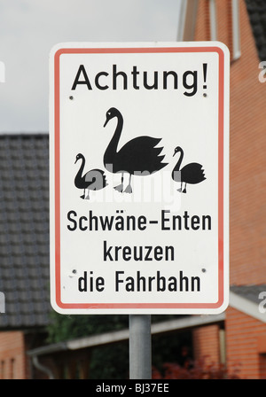 Straße Straßenschild in Stade, Hamburg, Germany, Schwäne und Enten beim Überqueren der Straße warnen Stockfoto