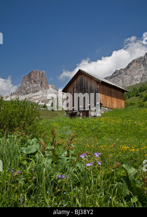 Scheune und Monte Averau, Giau Pass, Dolomiten, Italien Stockfoto